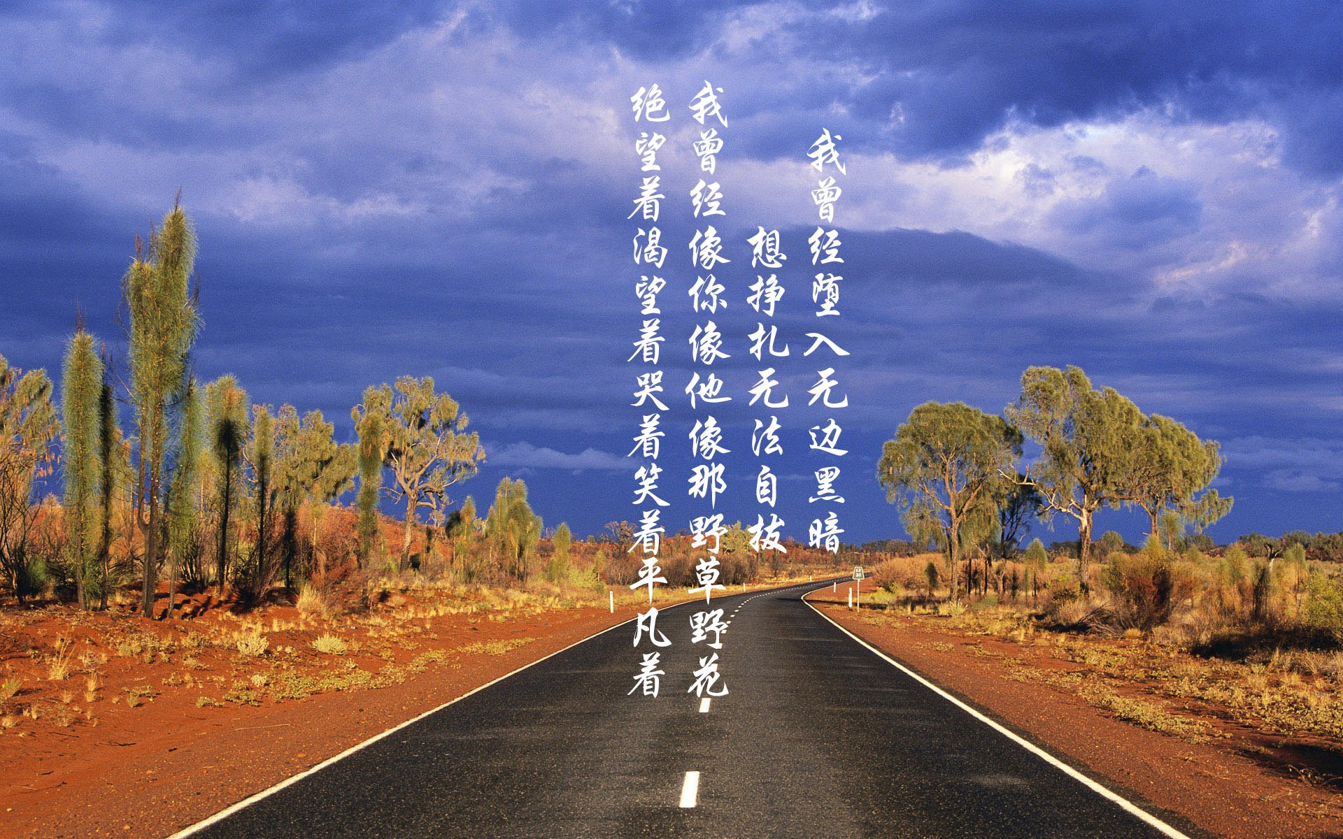 爱游戏入口-中国足球年度球员成长曲线与战术应用匹配，中国足球球员数据