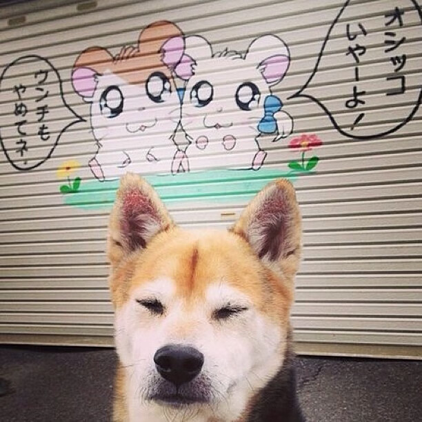 爱游戏app推荐-“腰旗橄榄球:东部新区赛场挑战极限,成为赛季亮点”