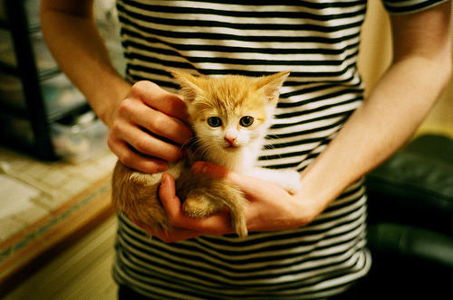 爱游戏-东亚杯中国青年队夺冠 球迷热情持续升温,东亚杯中国队名单