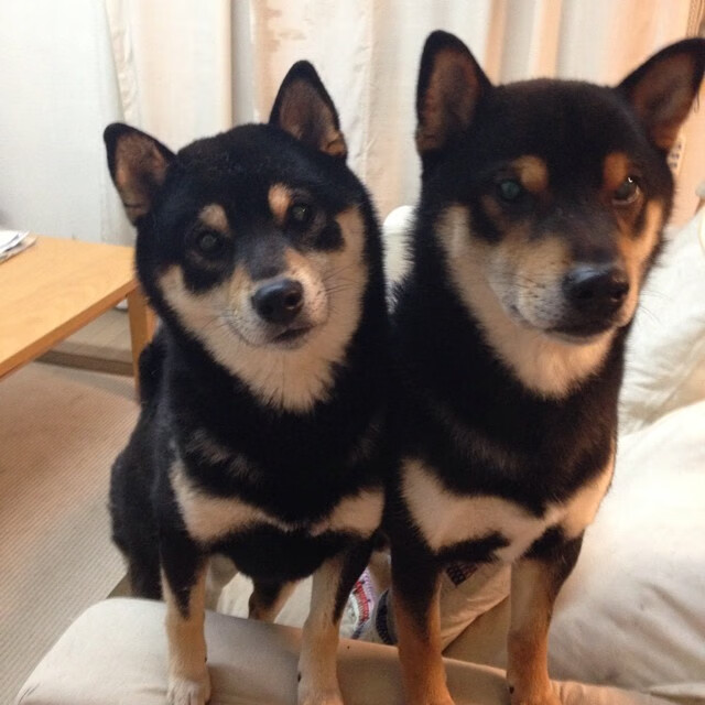 爱游戏体育娱乐-体能管理数据支持技术发挥,体能训练管理规定