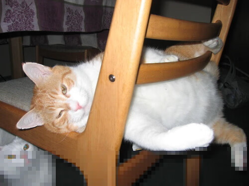 爱游戏体育app-国际乒联混合团体世界杯:德国队如何通过赛制应对更严峻挑战,乒乓球团体赛德国阵容