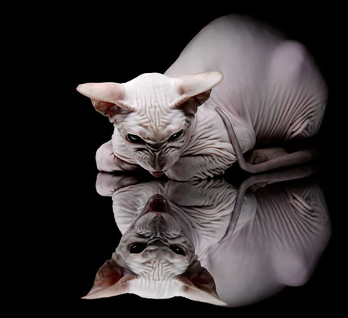 爱游戏体育下载-球员受伤频率是否因战术高强度对抗而升高,球员受伤频率是否因战术高强度对抗而升高