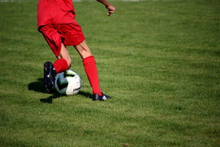 爱游戏体育下载-中国足球职业俱乐部推动管理层岗位轮训制度，职业足球俱乐部训练计划