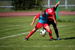 爱游戏体育下载-中国足球职业俱乐部推动管理层岗位轮训制度,职业足球俱乐部训练计划