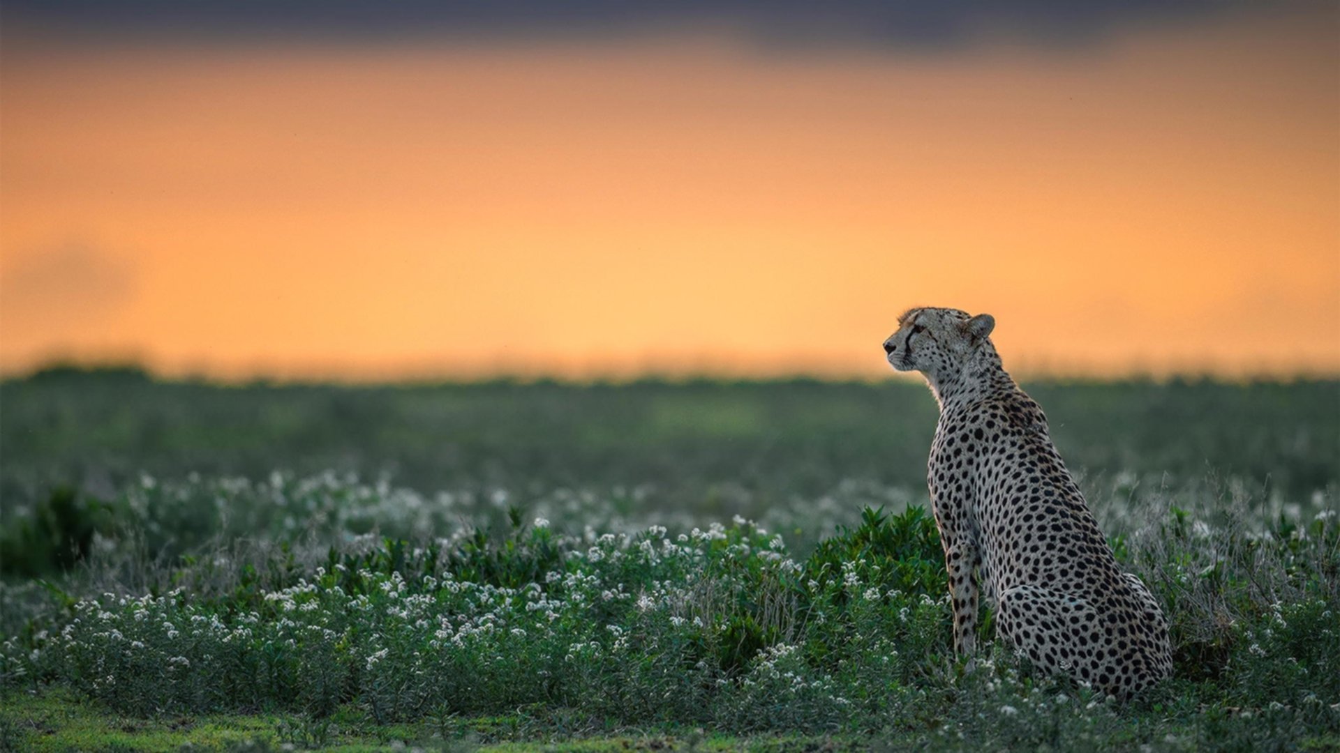 爱游戏体育下载-体育综艺引入中国篮球元素增强青少年参与兴趣,篮球类综艺节目