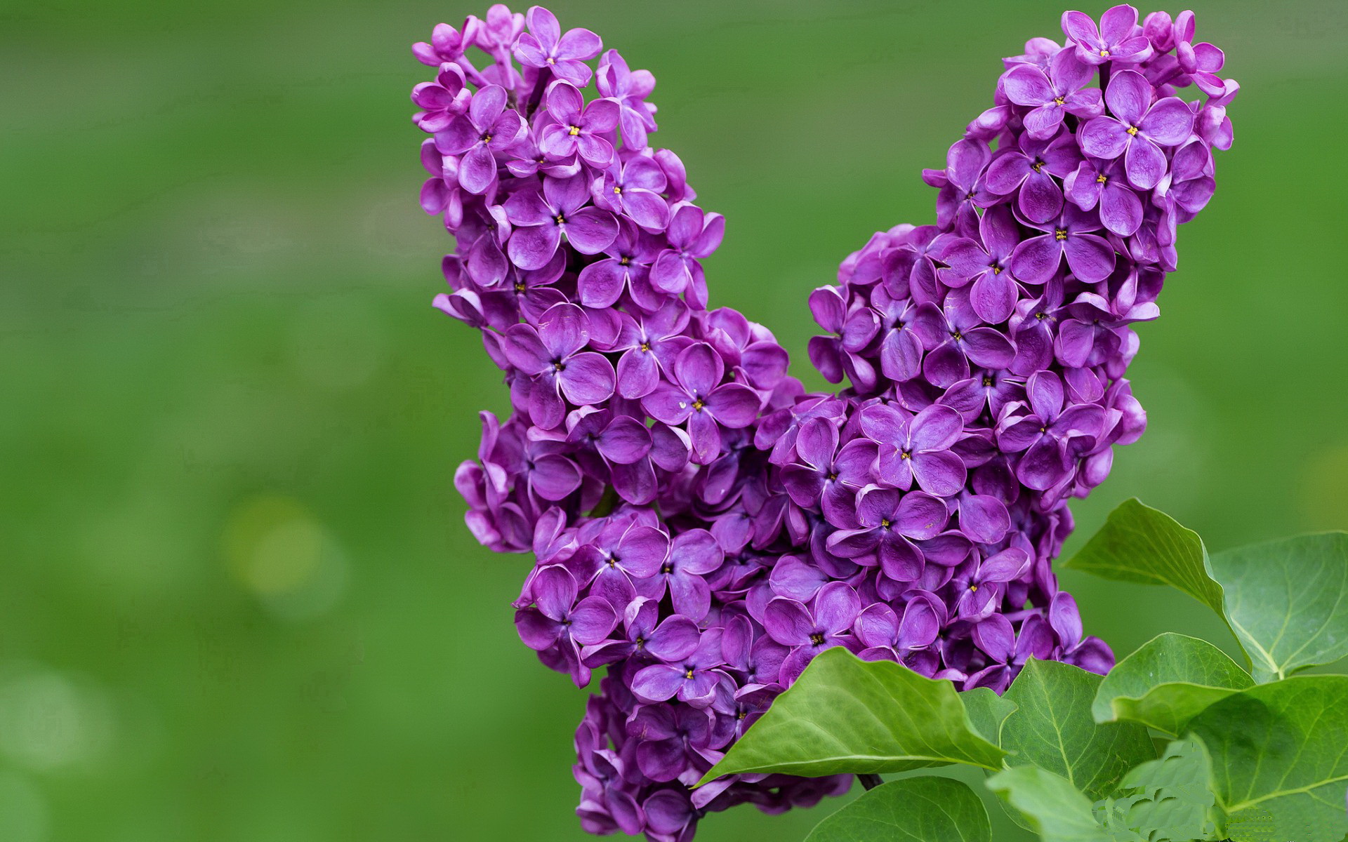 爱游戏官网充值-冷门赛事中涌现高光表现，冷门比赛