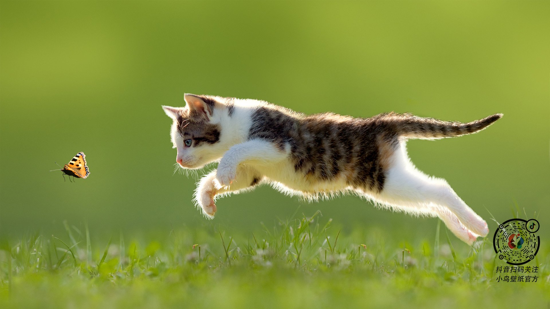 爱游戏app推荐-多名球员入选国家队初选名单展现俱乐部培养成果,入选国家队名单篮球