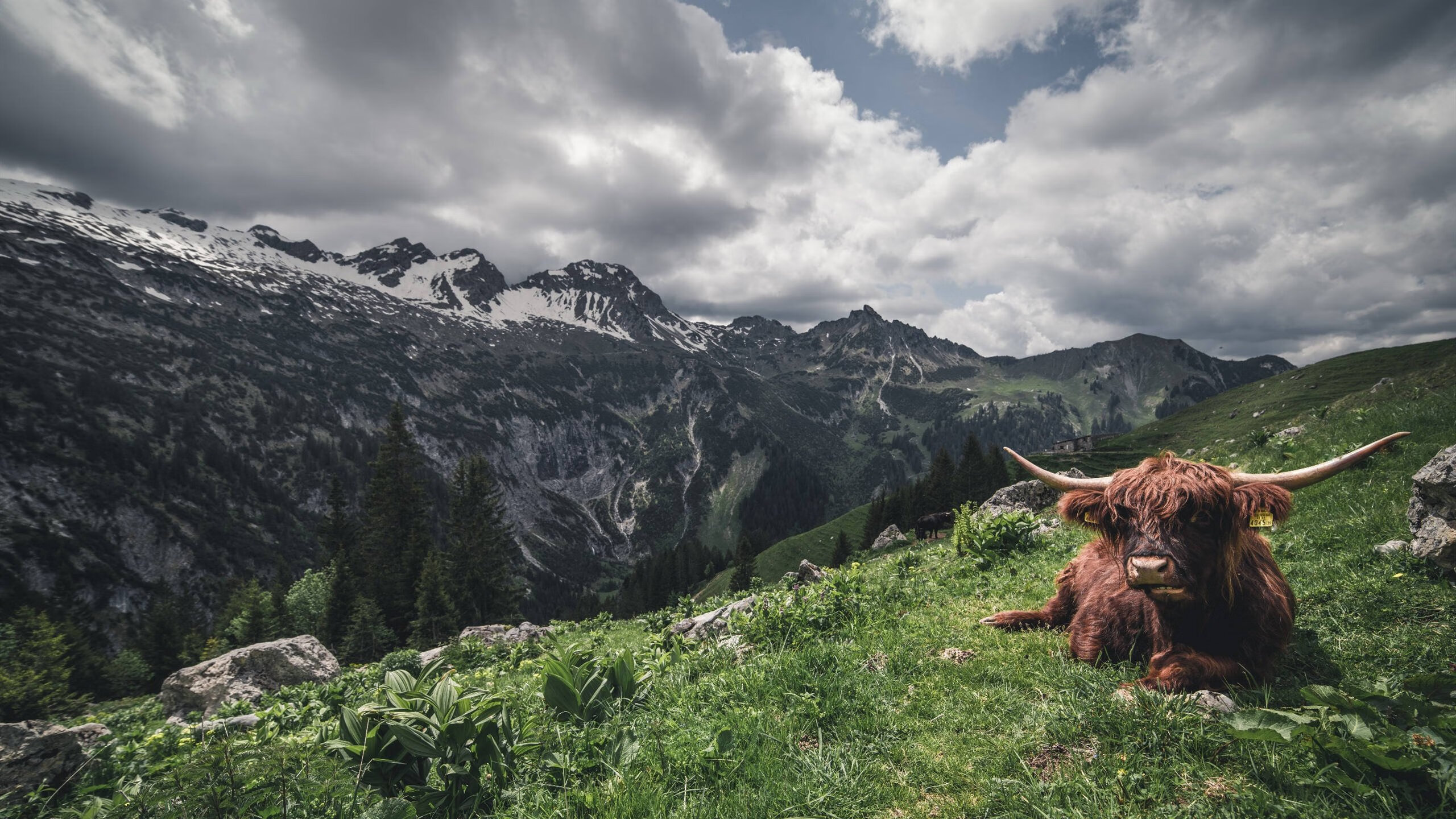 爱游戏app注册-张伟丽接受央视专访谈未来目标,张伟丽再度发声