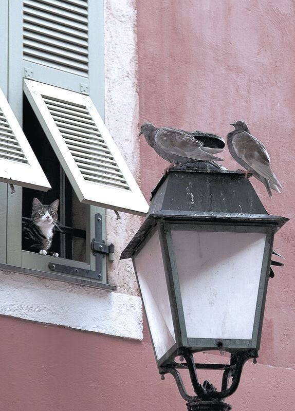 爱游戏入口-最后一分钟的争议点球决定比赛结果