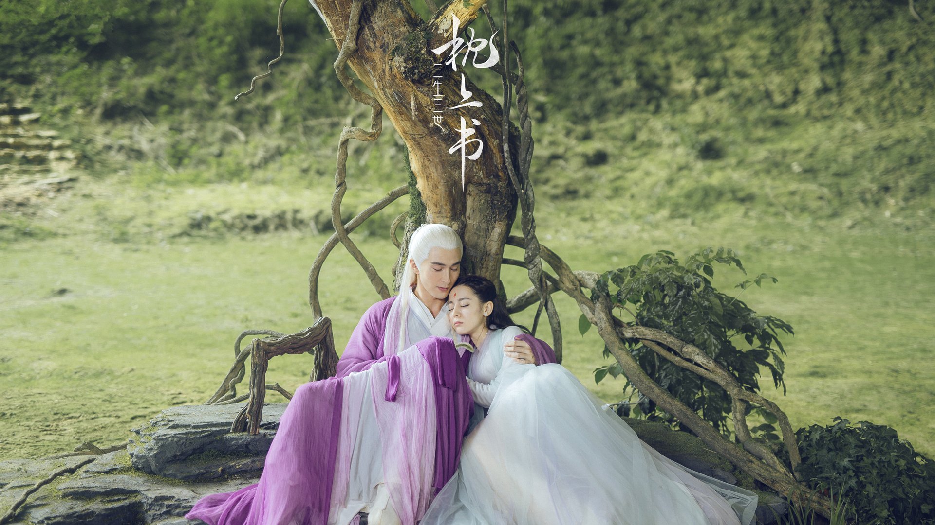 爱游戏app活动-澳大利亚橄榄球的全球化战略铺开，赛事影响力扩展，澳大利亚全国橄榄球联赛