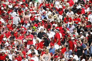 爱游戏内容中心-体育新闻中心快讯榜单刷新，体育新闻 体坛快讯